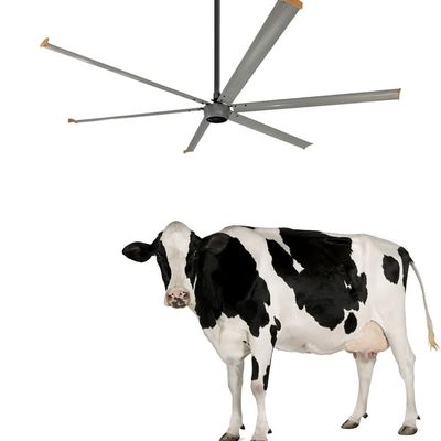 Ventilateur de plafond pour chantier de construction Ventilation de 3,6 m Volume élevé 1500W 220V Ventilateur HVLS de 10 pieds