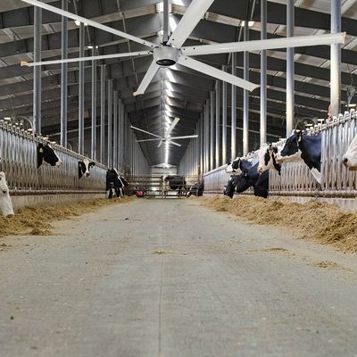 Ventilateur de plafond électrique industriel à haute vitesse de 1,5 kW 24 pieds avec moteur PMSM