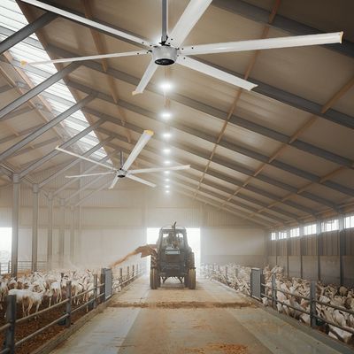 Magnet permanent synchrone 220v 380v HVLS Ventilateurs pour serre 14 pieds 16 pieds 7,3m refroidissement