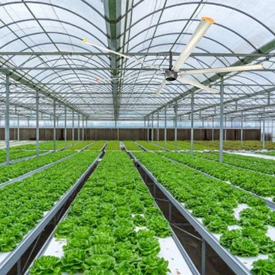 Efficacité IE 1 12ft 10ft 16ft 14ft 1500W 1100W 750W BLDC moteur de ventilateur de plafond HVLS industriel