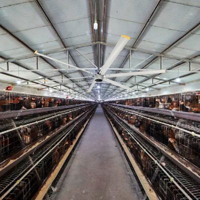 Efficacité IE 1 12ft 10ft 16ft 14ft 1500W 1100W 750W BLDC moteur de ventilateur de plafond HVLS industriel