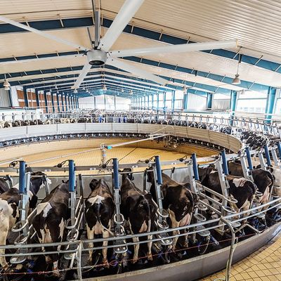 Ventilateur électrique HVLS synchrone à aimant permanent pour alimentation 220V/380V par AMCLING