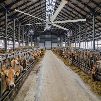 Ventilateur HVLS de 12 pieds 6,1 m 7,3 m pour la ventilation à basse vitesse et à haut volume dans les bâtiments industriels